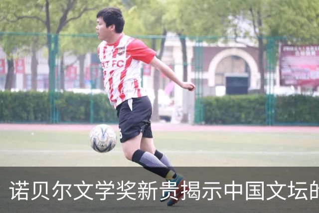 诺贝尔文学奖新贵揭示中国文坛的模仿现象？